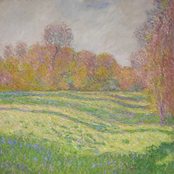 Sun Outside My Window