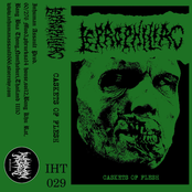 Caskets Of Flesh