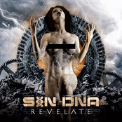 Revelate-North American Edition