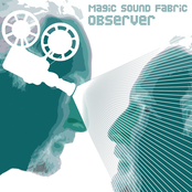 Majesty by Magic Sound Fabric