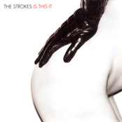 Trying Your Luck by The Strokes