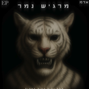 מרגיש נמר