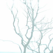 Twice Five Plus The Wings of a Bird