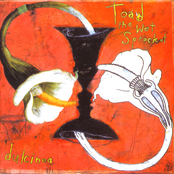 Toad The Wet Sprocket: Dulcinea