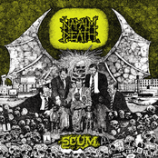Napalm Death: Scum