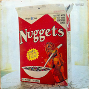 Michigan Brand Nuggets