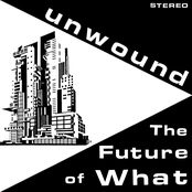 Unwound: The Future of What