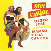 Son Caribe: Mambo Y Cha Cha Cha, Viva La Salsa !