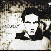 Betrayed By Daylight