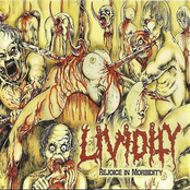 Rejoice In Morbidity