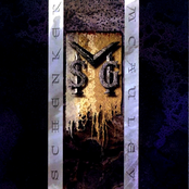 M.S.G.