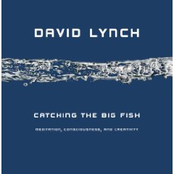 Compassion by David Lynch