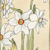 How Did it End? (Piano Version)