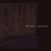 water into blood