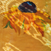 I Still Think About You / No Ordinary Love