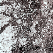 Rotters:Crimpin Volume #10