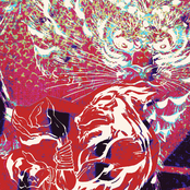 Crystaline Boomerang Echo Skyline