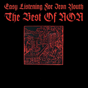 easy listening for iron youth: the best of non