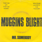 Mr. Somebody
