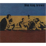 Reasons Why by Blue King Brown