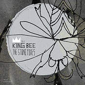 The Stone Foxes: I'm A King Bee