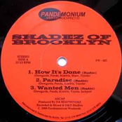 How It's Done (12 Inch)