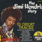 The Jimi Hendrix Story