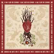 O Que Será do Cerrado