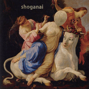 Shoganai