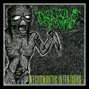 Necromantic Intentions (Single)