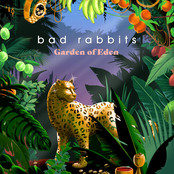 Bad Rabbits: Garden Of Eden