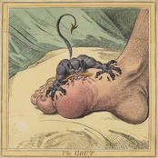 The Gout