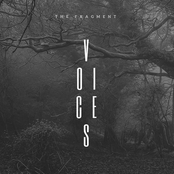 Voices - Single