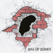 Bag of Bones