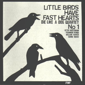 Little Birds Have Fast Hearts, No. 1