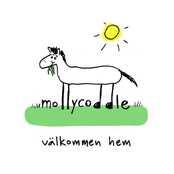 Välkommen hem