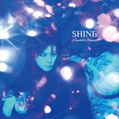 Shine by Kneuklid Romance