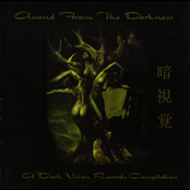 Skyfalls (Ascend Compilation Track)