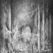 Zamarzniête Cienie Nocy