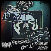 Inner Mechanics of a Fragile Mind