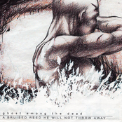 A Bruised Reed He Will Not Throw Away