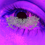 Falling From the Sky