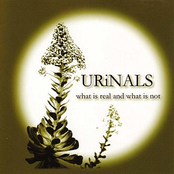 What Is Real And What Is Not by Urinals