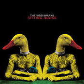 The Virginmarys: Sitting Ducks