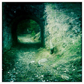 The Gardens of Endless Blossoming