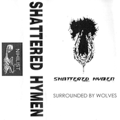 shattered hymen