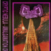 Amalgamation of Stars