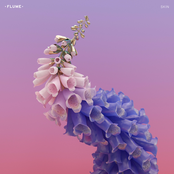 Flume: Skin