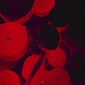 pop-punkstar - Single