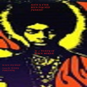 Have U Ever Been Psyched Funked?